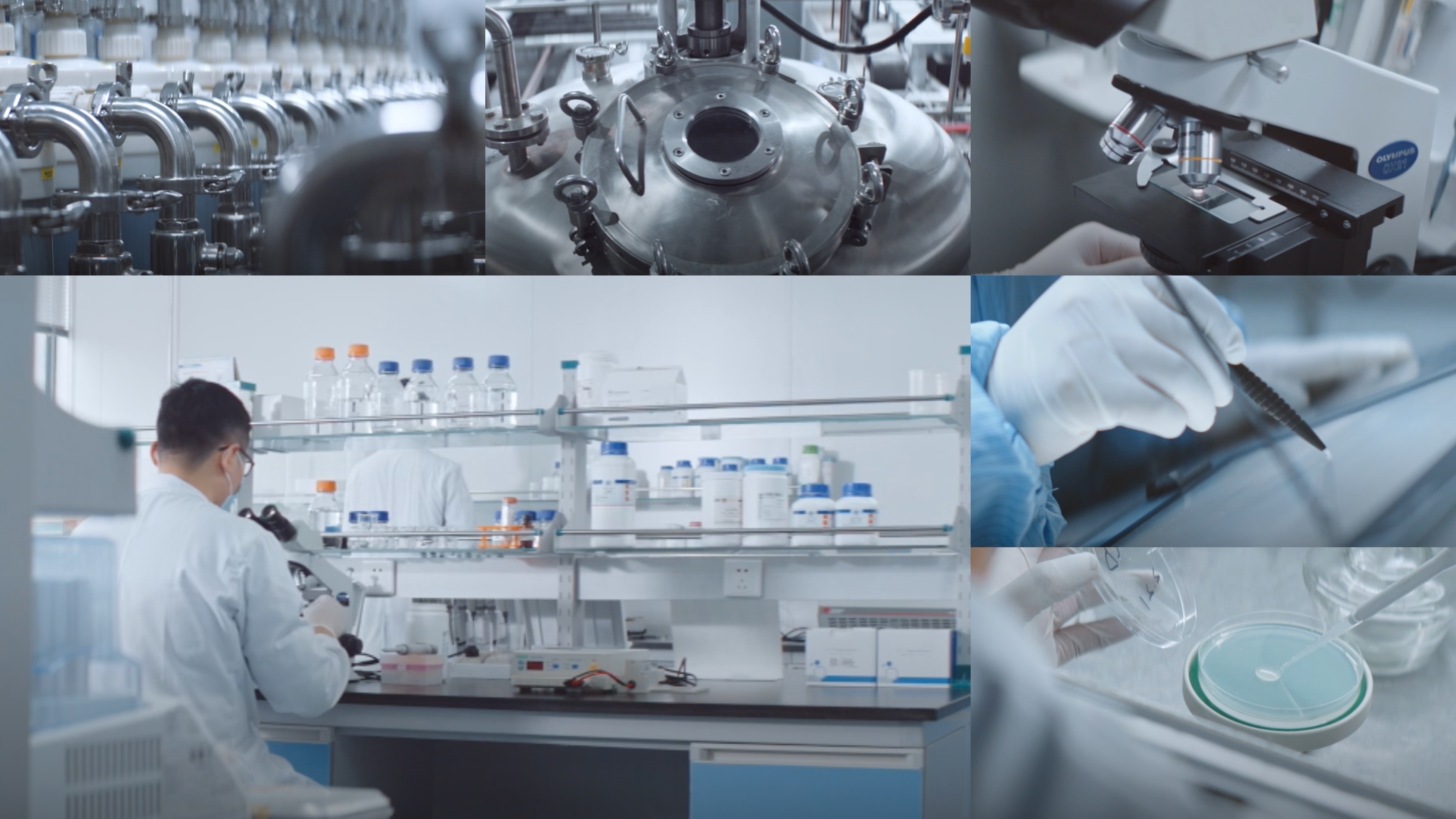 广东会医疗重组XVII型胶原荣获个人护理品行业荣格技术创新奖