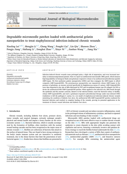 2022 动物研究，重组胶原微针，用于慢性伤口