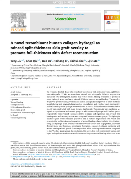 2022 动物研究，重组胶原用于微粒皮移植覆盖