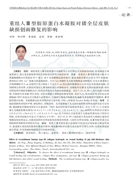 2019 动物研究，重组人Ⅲ型胶原蛋白水凝胶对猪全层皮肤缺损创面修复的影响